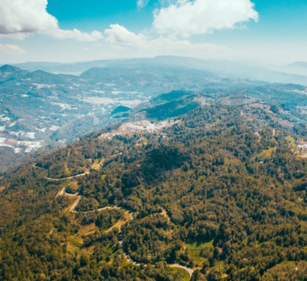 Paradise Valley Tile Cleaning