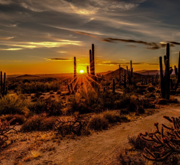 Scottsdale Tile Cleaning