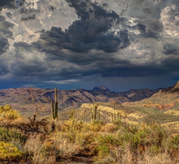 Surprise Tile Cleaning